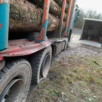 Mobiler-Reifendienst-Lang_LKW-Flotte